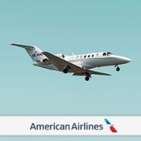 American Airlines image 3